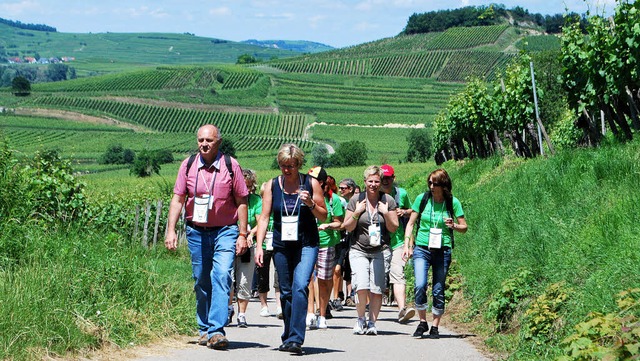 Natur, edle Tropfen und gutes Essen verbindet die  kulinarische Weinwanderung.   | Foto: archiv: benjamin bohn