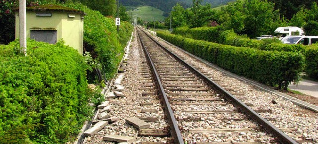 Zustzlich zur bereits bestehenden Gr...llschluckende Gabionenwand eingefgt.   | Foto: M. Lange