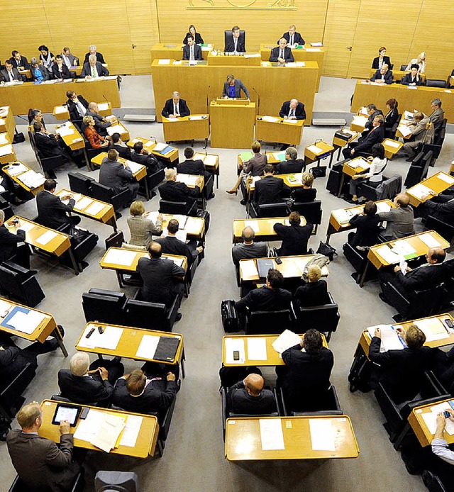 Mehr Geld soll es fr die Landtagsabgeordneten geben.   | Foto: dpa