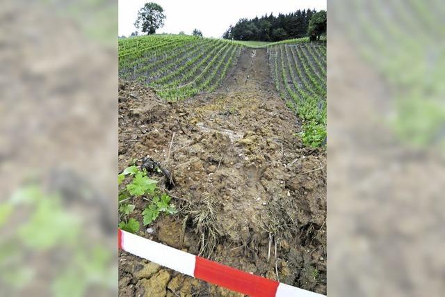 Hangrutsch am Weinberg wegen alter Bausnden?