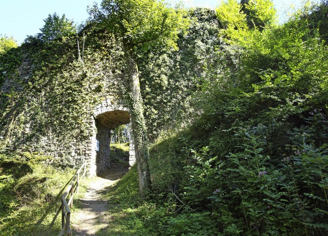 Ein Arbeitseinsatz  auf der Burgruine ...rderkreis ruft fr Samstag dazu auf.   | Foto: Richard Kaiser