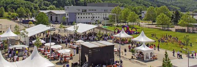 Familienfest mit Festivalcharakter: Zu...im Lus. Insgesamt waren es 1700 Gste.  | Foto: Etienne_Straub_www.galeriephotographe.com