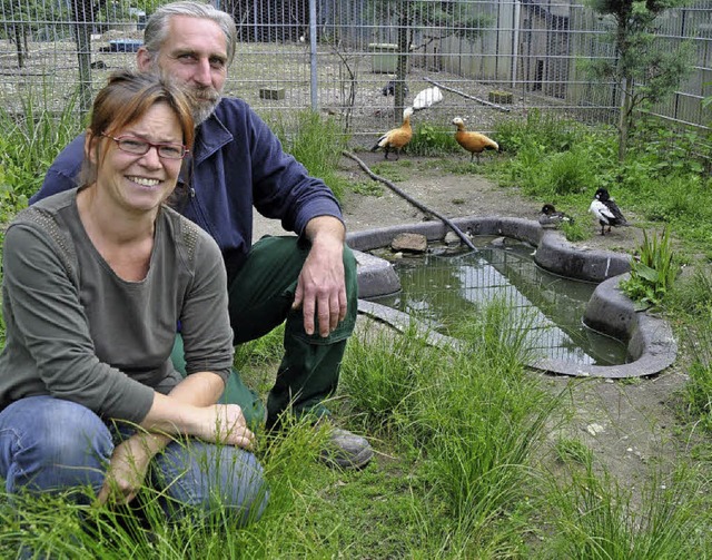 Christiane und Andreas Dring fhlen sich wohl zwischen ihren Tieren.   | Foto: julius steckmeister