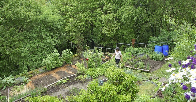 Niemand vermutet hinter dem Haus in de...r ist nur durch den Keller zugnglich.  | Foto: Binner-Schwarz