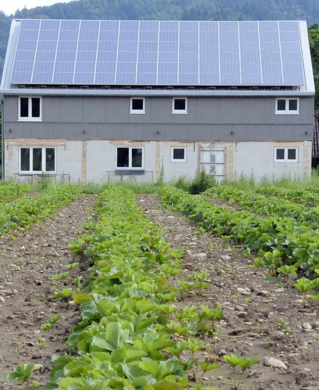 Auf der Halle des Boulesportvereins in...genossenschaft ihre zweite Solaranlage  | Foto: Markus Zimmermann               