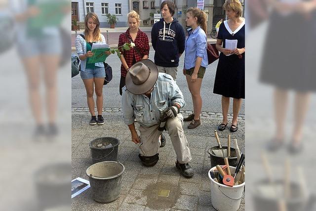 Fast wren die Stadtverordneten ber den Stolperstein gestolpert