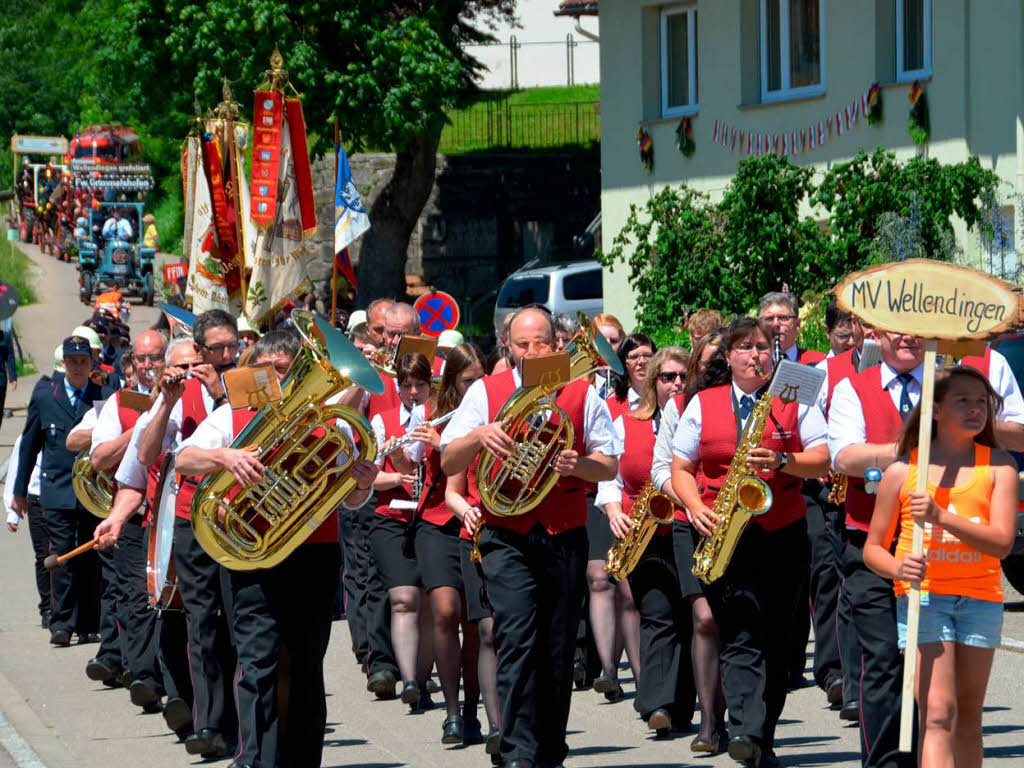 Die Musiker aus Wellendingen Die Musiker aus Wellendingen