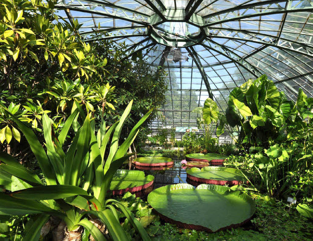 Hüterinnen der Biodiversität Freizeittipps Badische Zeitung