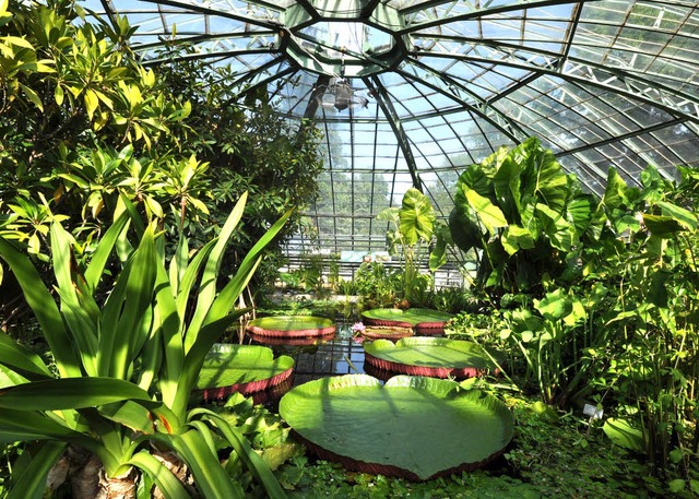 | Foto: Universität Basel | Foto: Universität Basel