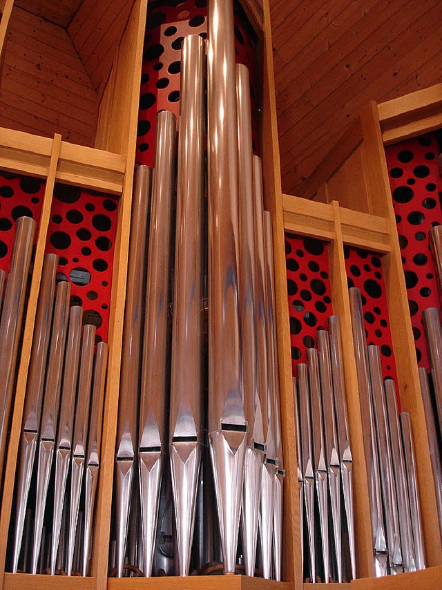 Auch Orgelfhrungen stehen beim Kirchenfest im Grn auf dem Programm.   | Foto: privat