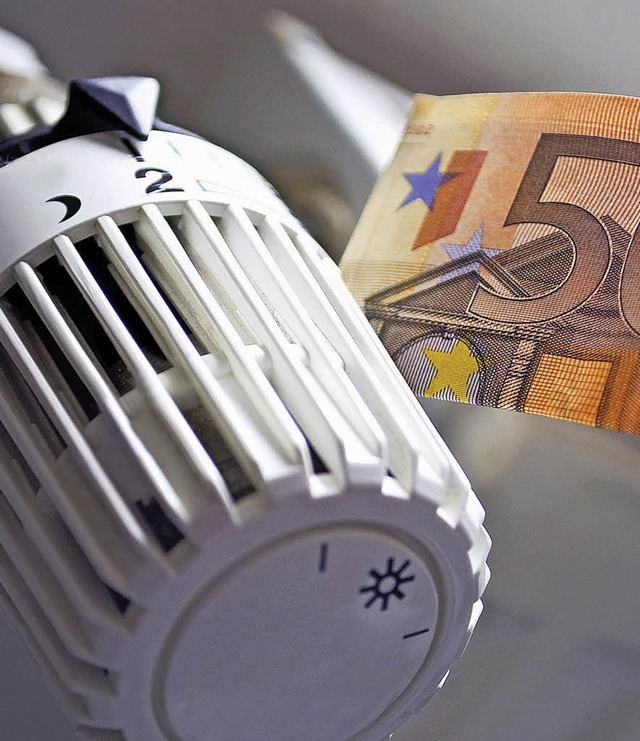Eingesparte Energiekosten als Rendite:...gliedschaft lohnt sich bereits jetzt.   | Foto: ieu/txn