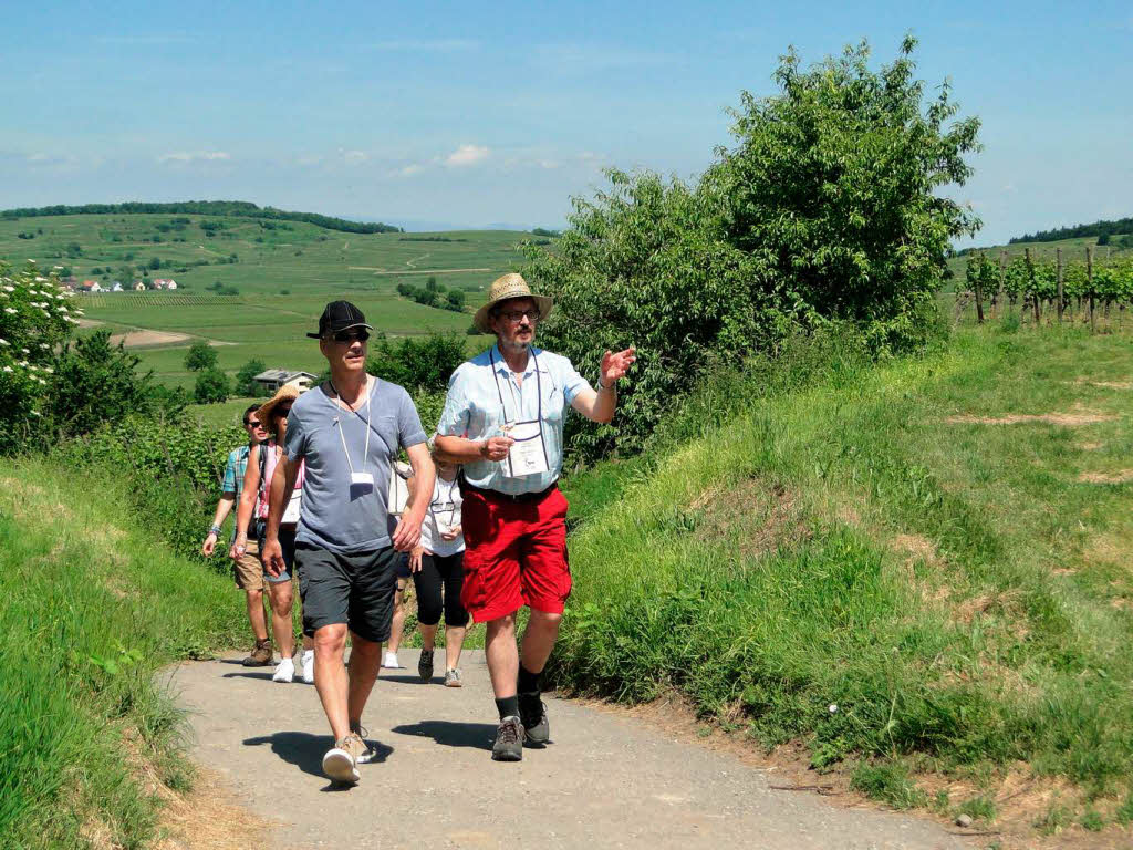 Am vergangenen Sonntag fand in Oberrotweil die 11. kulinarische Weinwanderung statt.