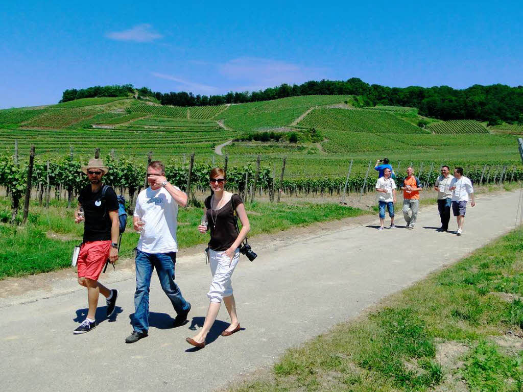 Am vergangenen Sonntag fand in Oberrotweil die 11. kulinarische Weinwanderung statt.