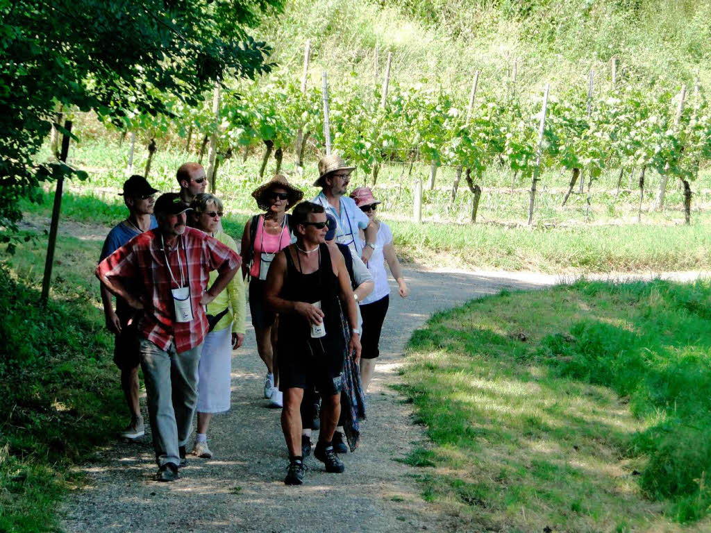 Am vergangenen Sonntag fand in Oberrotweil die 11. kulinarische Weinwanderung statt.