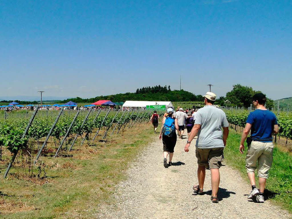 Am vergangenen Sonntag fand in Oberrotweil die 11. kulinarische Weinwanderung statt.