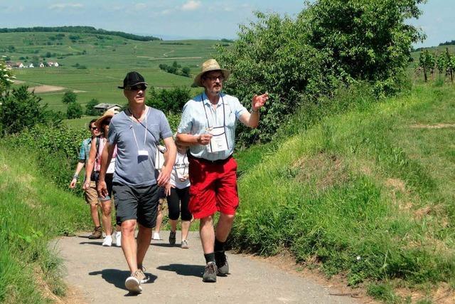 2000 Gste bei der kulinarischen Weinwanderung