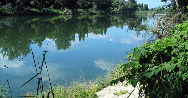 Rhein bei Bellingen  | Foto: Jutta Schtz