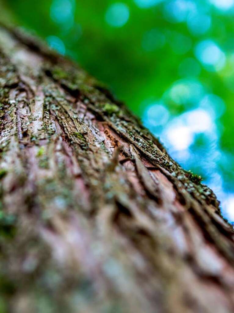 Der Botanische Garten zeigt von seiner schnsten Seite.