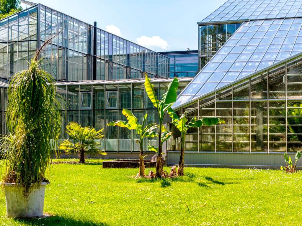 Der Botanische Garten zeigt von seiner schnsten Seite.