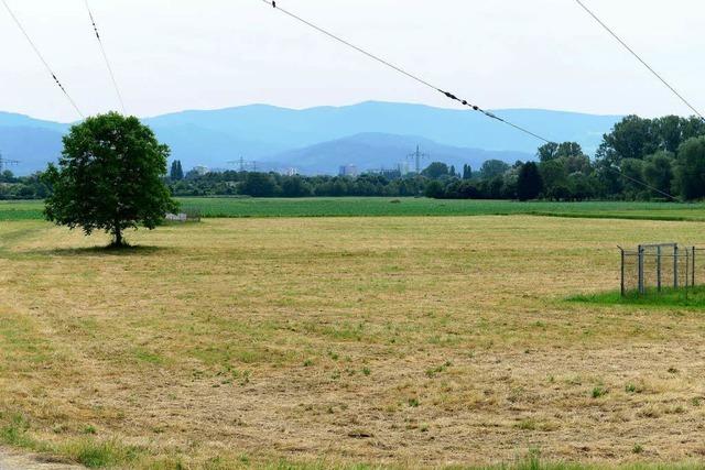 Dietenbacher Grundstcksbesitzer: Stadt will uns ber den Tisch ziehen