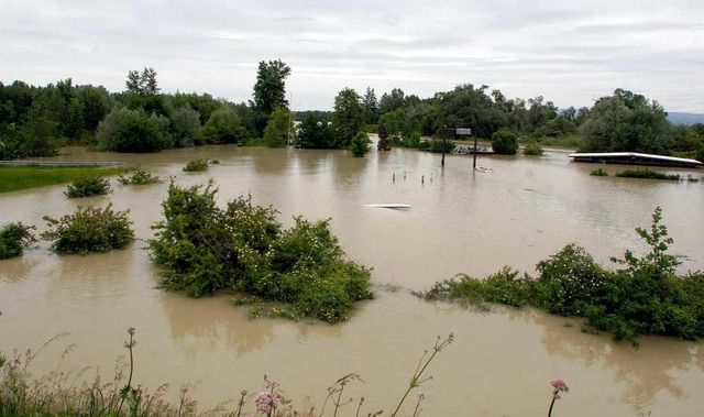 Der geflutete Polder Altenheim am 3. Juni  | Foto: Heidi Foessel