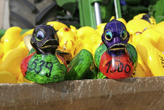 Zwei  von mehr als 2000 Rennenten, die am Mittwoch an den Start gegangen sind.   | Foto: Sandra Decoux-Kone