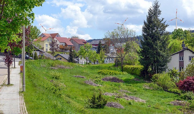 Die Anlagen Hochfirst-Ost von der Schwarzwaldstrae aus  | Foto: planungsverband 