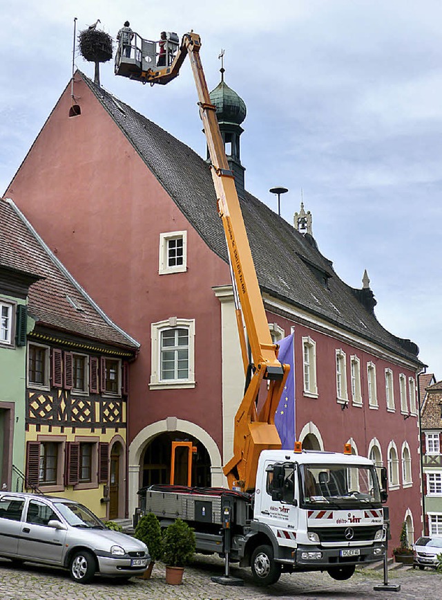 Spektakulre Aktion in luftiger Hhe: ...ngung der Jungstrche auf dem Rathaus.  | Foto: W. HoffmanN