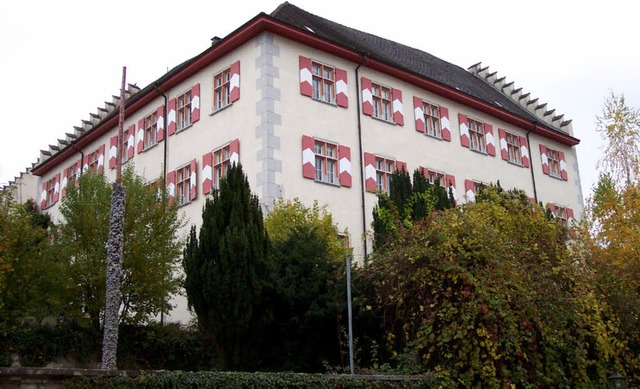 Knnte das kulturelle Gedchtnis der Stadt beherbergen: das Tiengener Schloss  | Foto: Privat