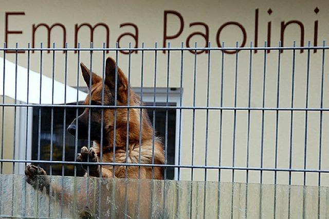 Tierschutzverein erteilt Hausverbote - Konflikt verschrft sich weiter