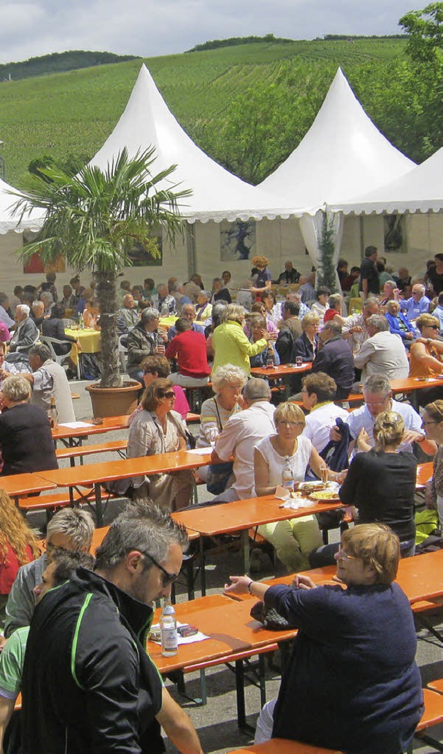 Mittagessen im Freien mit Blick auf de...s gab es beim Sekt- und Weinfestival.   | Foto: Freyer