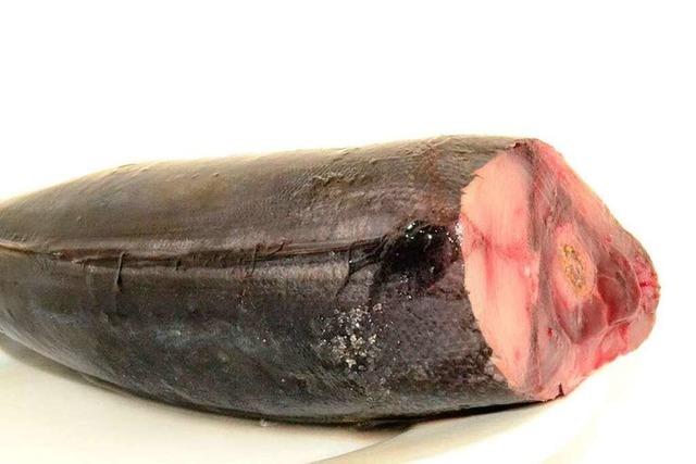  Das Rezept: Gegrillter Bonito mit Thunfischsauce