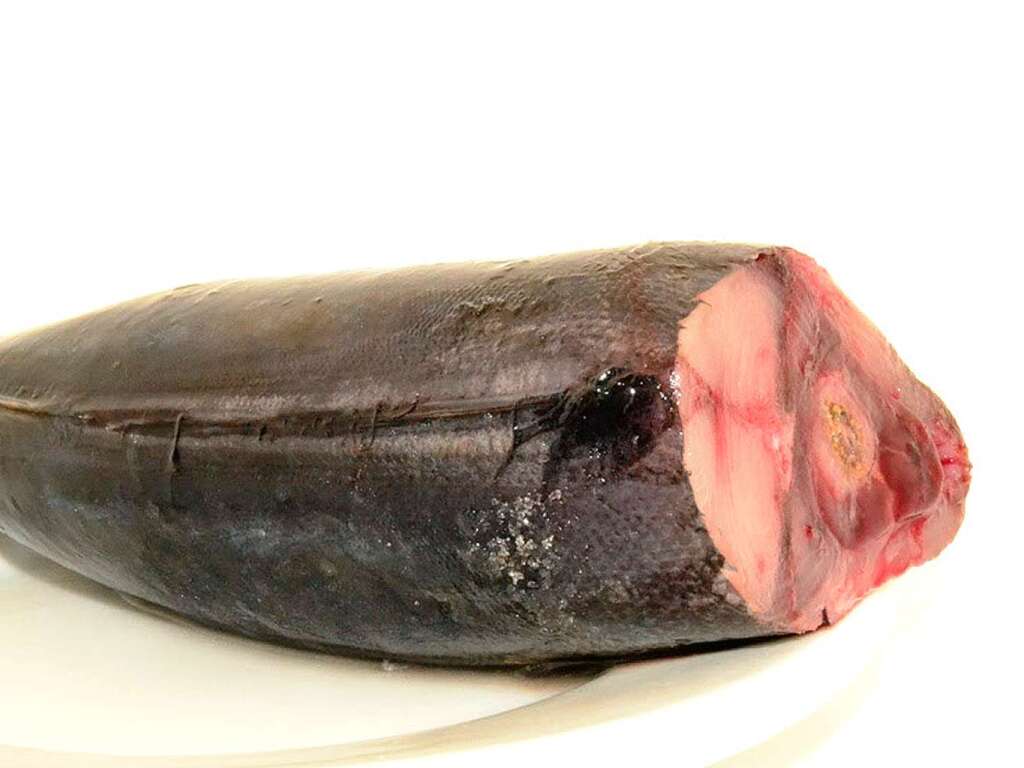 Das Rezept Gegrillter Bonito mit Thunfischsauce Gastronomie