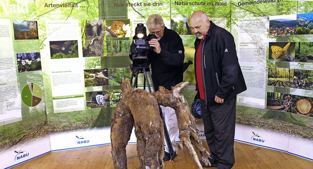 Die 4300 Jahre alte Tannenwurzel war b...ter Thomas Miltner waren beeindruckt.   | Foto: Dieckmann