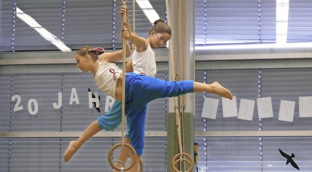 Mit einer sportlichen Gala feierten di...das Jubilum zum 20-jhrigen Bestehen.  | Foto: claudia Mller