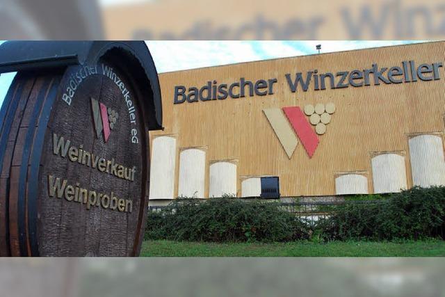 Der Badische Winzerkeller erhht Traubengeld