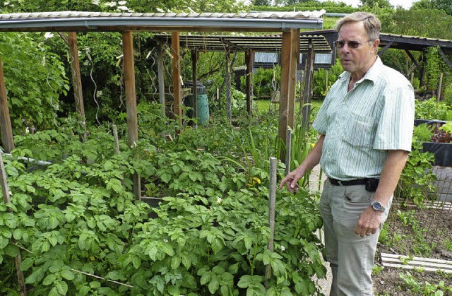 Manfred Lauinger hat seit 27 Jahren ei...n Gartenfreunden Offenburg  gepachtet.  | Foto: Weizenecker