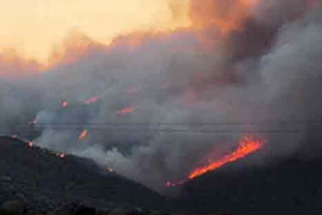 Waldbrnde in Arizona – 19 Feuerwehrleute sterben