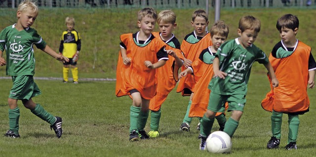 Mit Flei und Spa beim Kicken: Die Jngsten in Drlinbach.   | Foto: Heidi Fssel