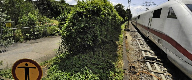 Nur eine Hecke und eine schmale Strae...rk befahrenen Rheintalstrecke der Bahn  | Foto: Markus Zimmermann               