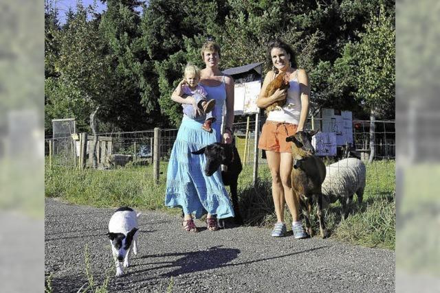 Gebude ragen noch hher hinaus