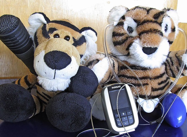 Teo und Tom, die Tiger   | Foto: privat