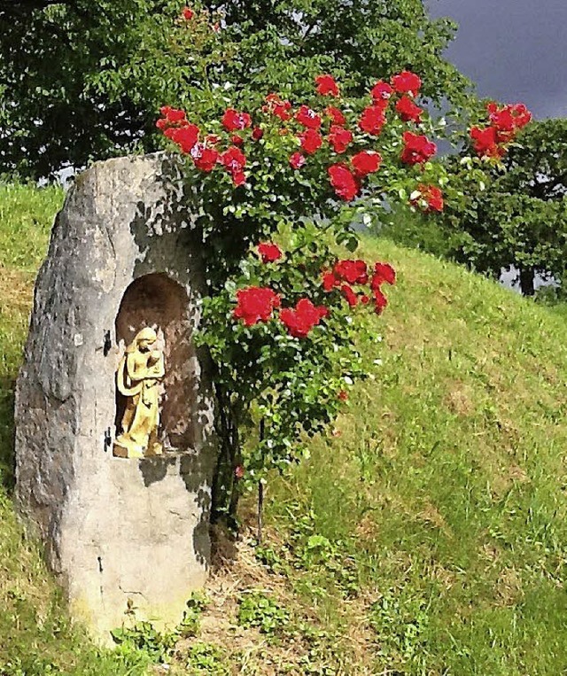 Appenweier - nach dem Ortsende auf dem...iedHerzliche GreMargot Hauswald lahr  | Foto: Margot Hauswald