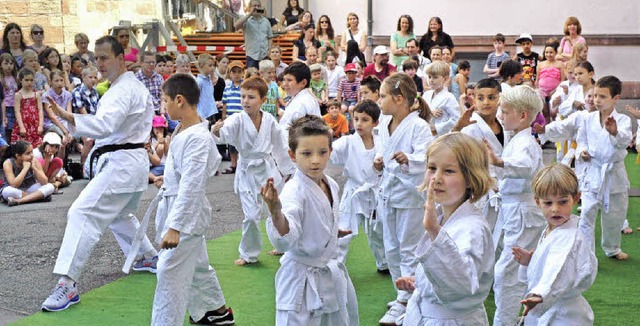 Die Karategruppe des TSV  Rot-Wei-Lr... trat beim Sommerfest der Schule auf.   | Foto: Britta Wieschenkmper