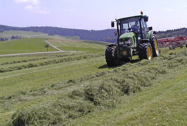 Fr die Landwirtschaft auf dem Hotzenw...nen und greren Hfen unterschieden.   | Foto: W. ADAM