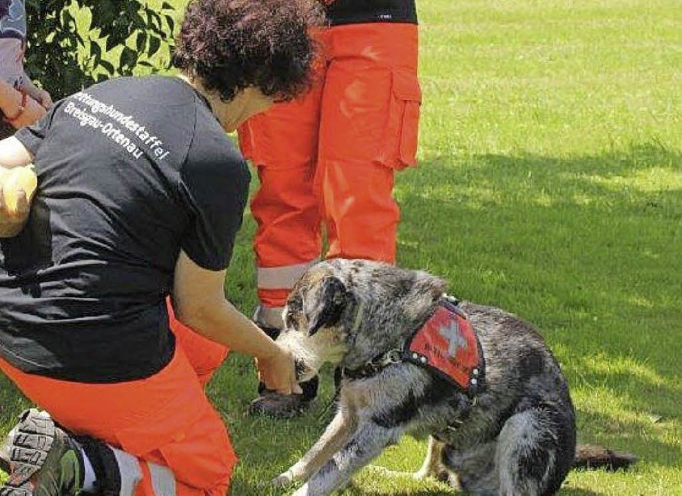 Auf den Hund gekommen Ehrenkirchen Badische Zeitung