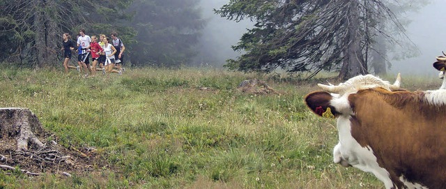 Ja, wo laufen sie denn? Die Lauf-AG vo...on mal den Transschwarzwald-Marathon.   | Foto: Privat