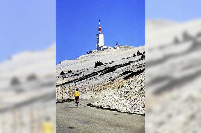 Hei geliebter Kotzbrocken