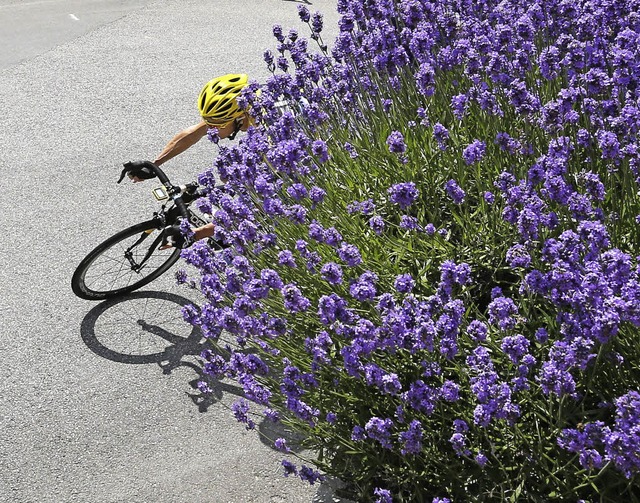 Bltenlandschaft mit Radrennfahrer: Christopher Froome auf dem Weg zum Sieg   | Foto: DPA