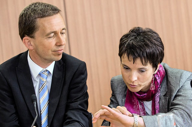 Die Sprecher der Partei (AfD),  Bernd ...Frauke Petry, bei der Pressekonferenz   | Foto: dpa